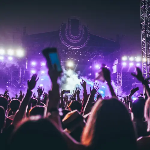 Concerts and Festivals